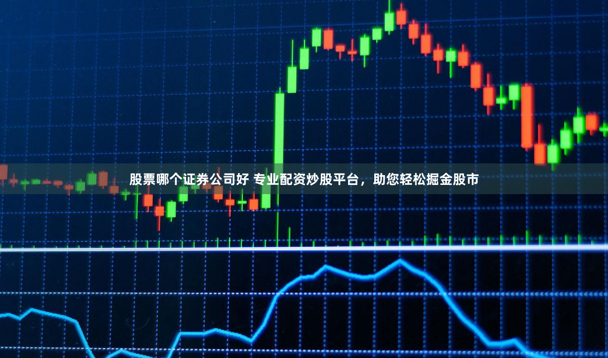 股票哪个证券公司好 专业配资炒股平台，助您轻松掘金股市