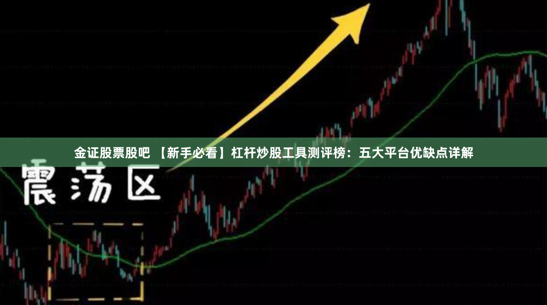 金证股票股吧 【新手必看】杠杆炒股工具测评榜:五大平台优缺点详解